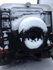 Landy Schnee rear