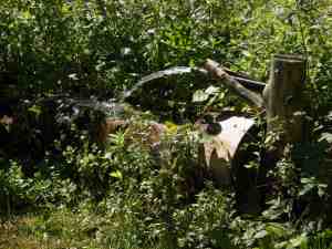 Frisches fliessendes Wasser